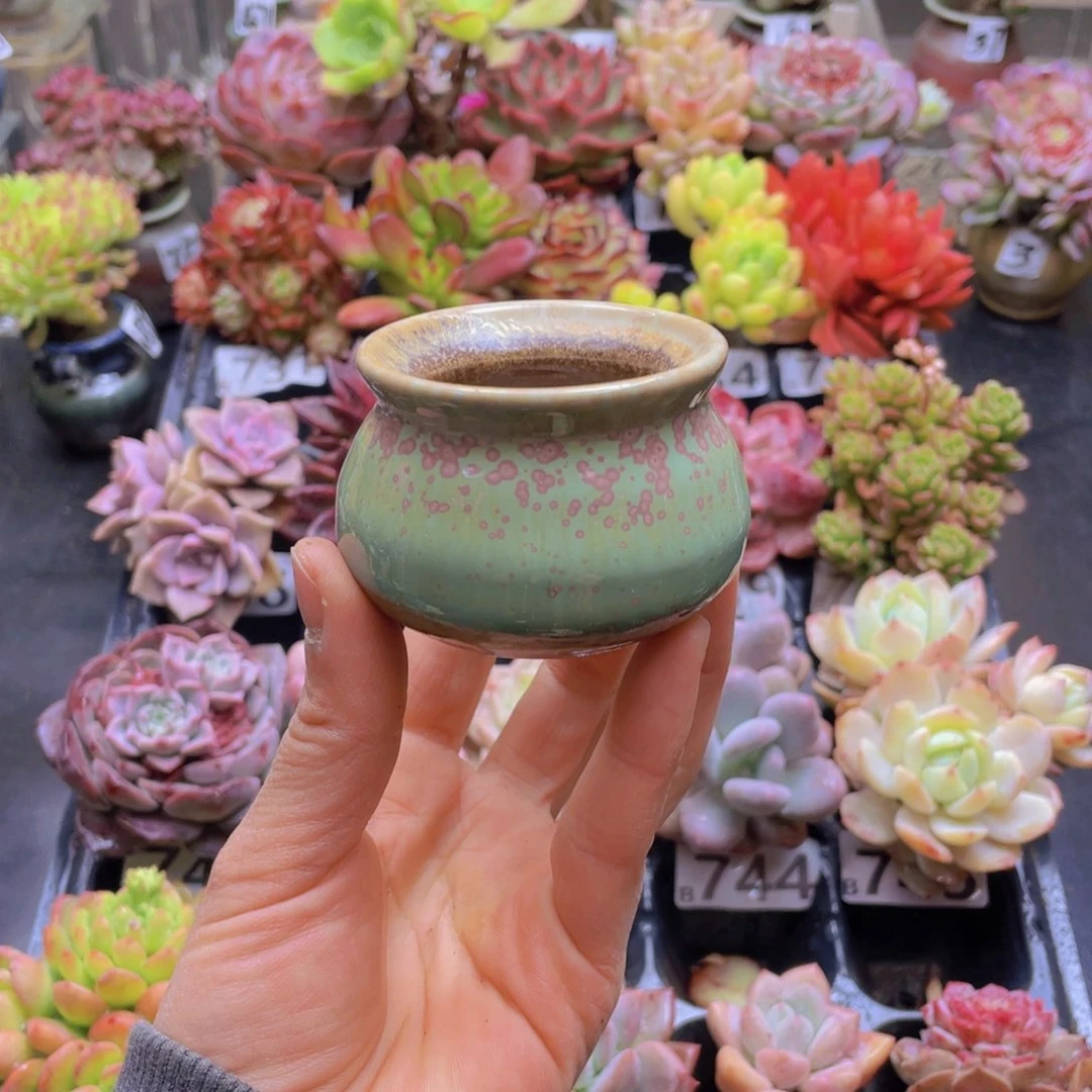 柚*花器花器花器花器花器
