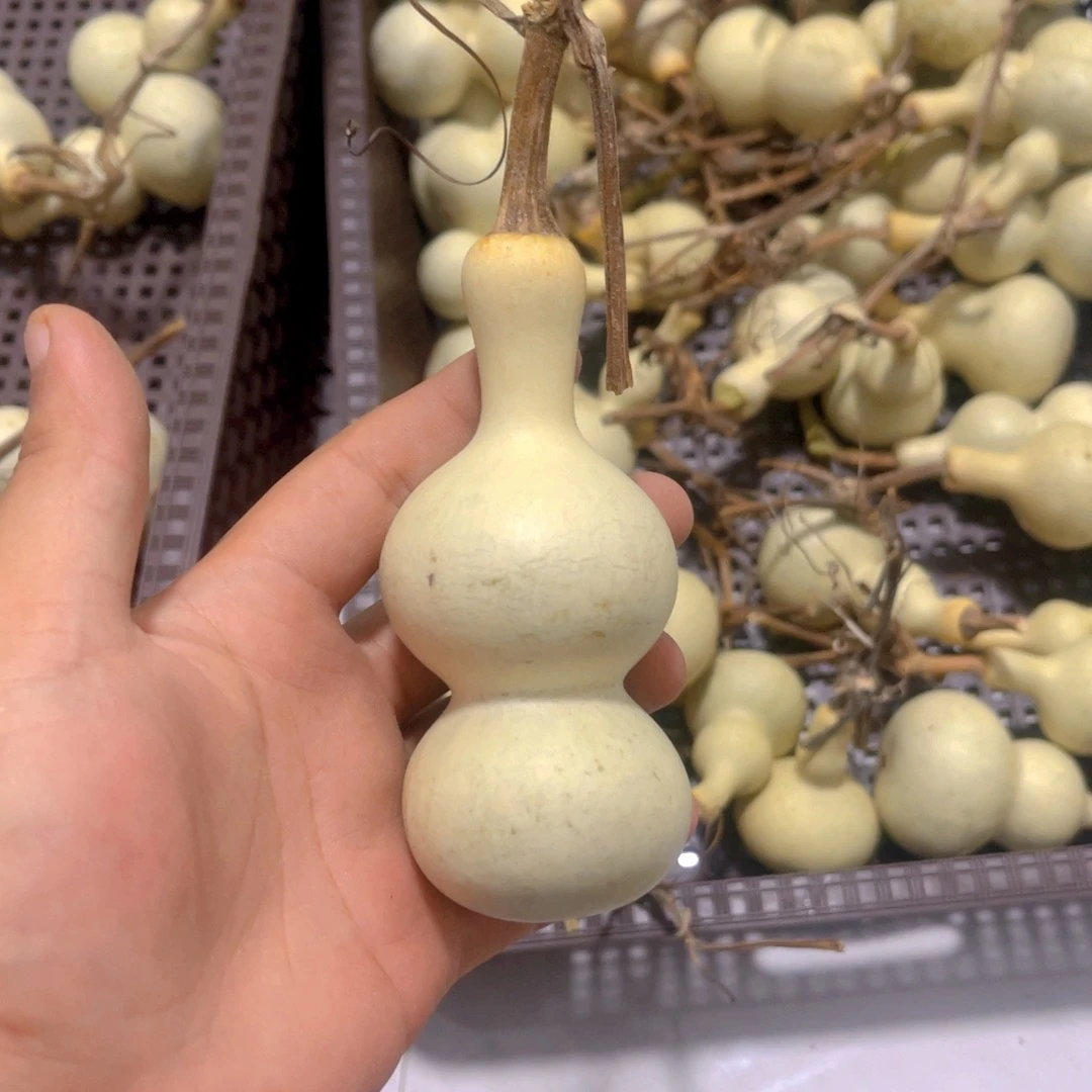 麻***休感谢大哥支持兄弟，不保