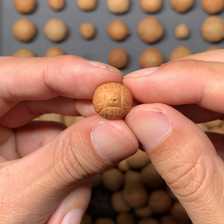 凤眼菩提吊坠恐***?13mm尼泊尔麒麟眼单籽