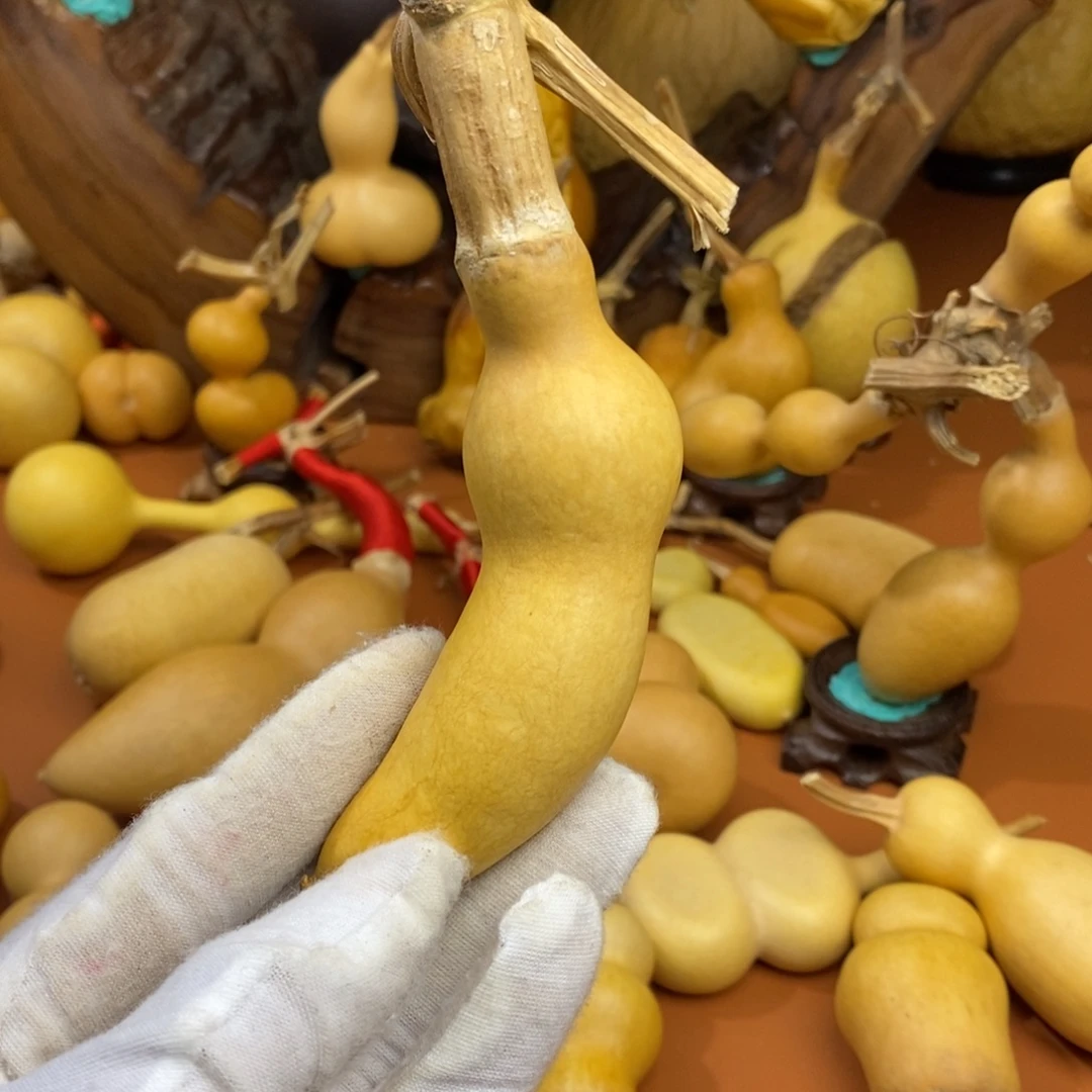 *****咯啊教练教练咯教练