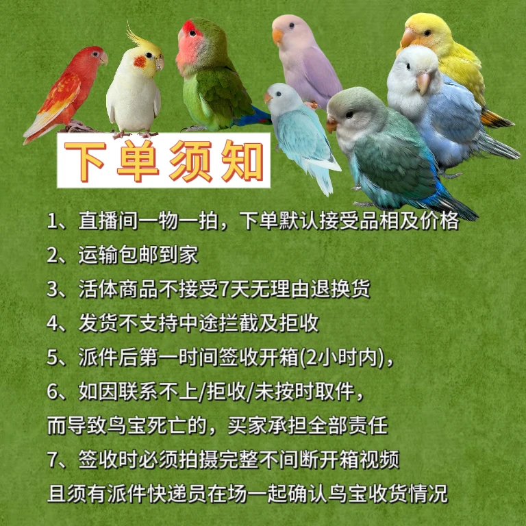 《吸，和》手养鹦鹉直播间一物一拍
