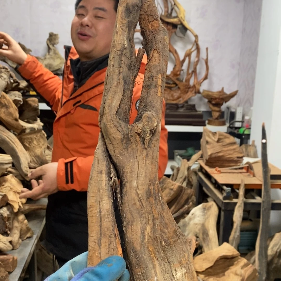 柏木陈*宝我们都是好孩子