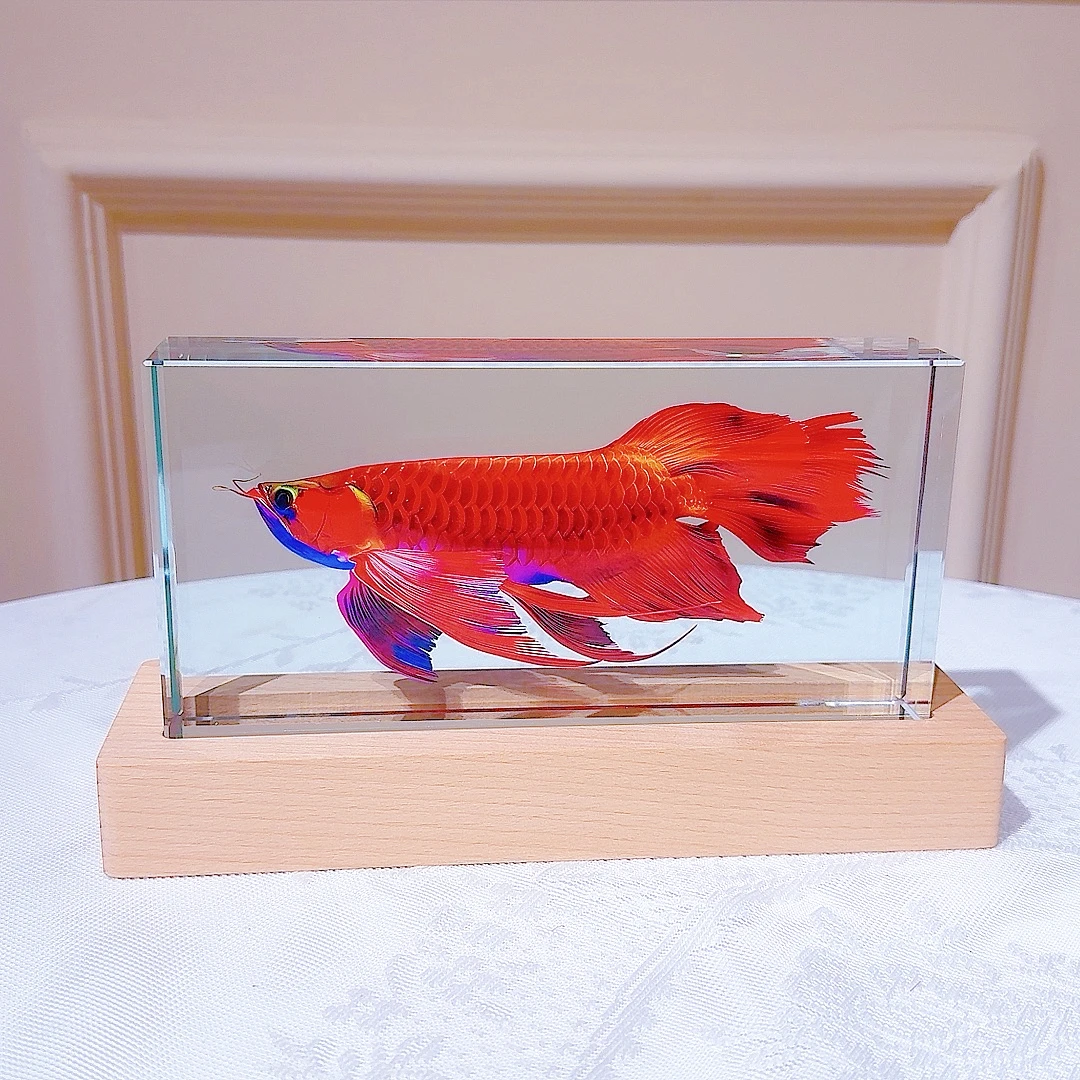 新中式发光水晶金龙鱼开业礼物卧室情侣玄关电视柜装饰摆件创意