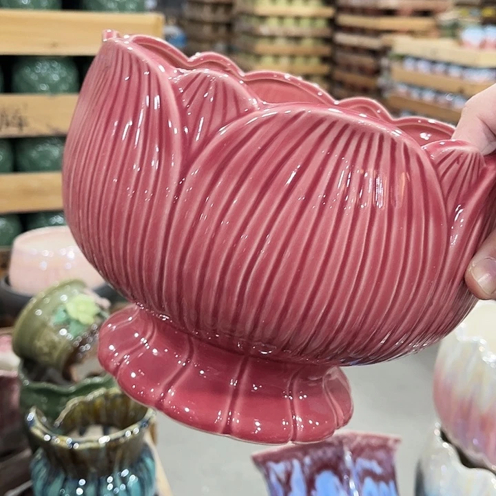 多肉植物陶瓷花盆