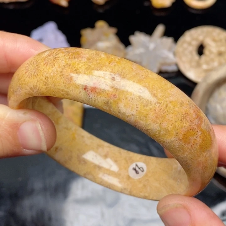 硅化珊瑚（珊瑚玉）手镯未镶嵌62