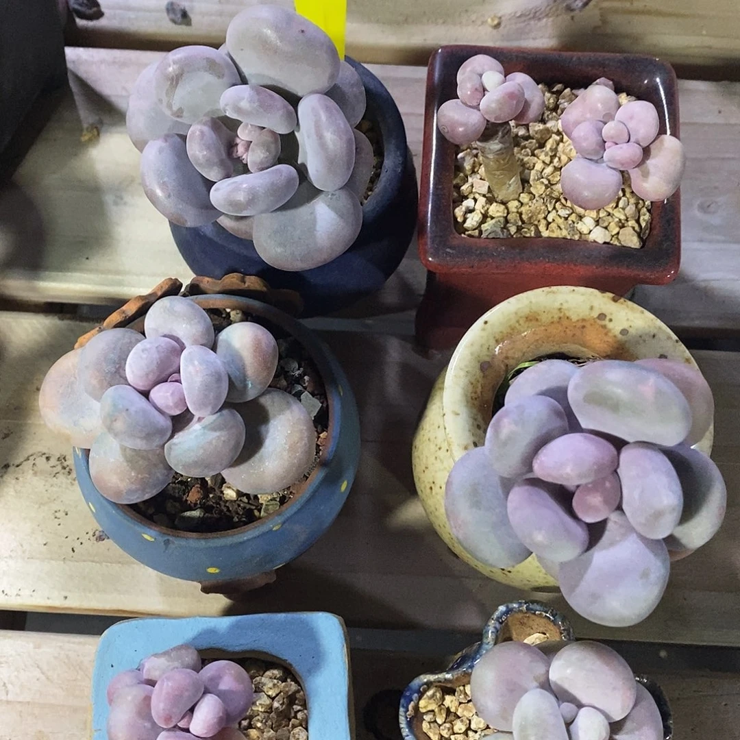 00673奥out了咯哦我