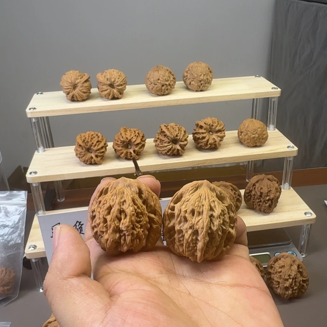 12.25全品麦虎有色差37尺