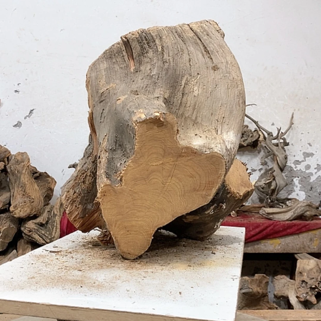 【闪购商品】柏木公****）我们都是好孩子