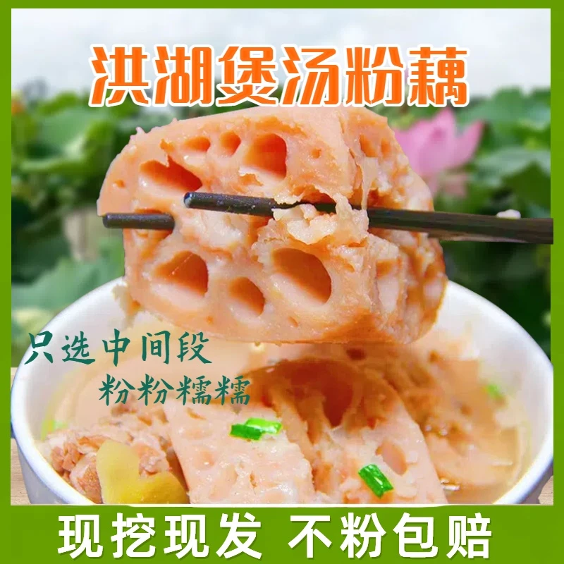正宗洪湖煲汤粉藕 精选中间段粉藕3斤/5斤 新鲜现挖 粉粉糯糯