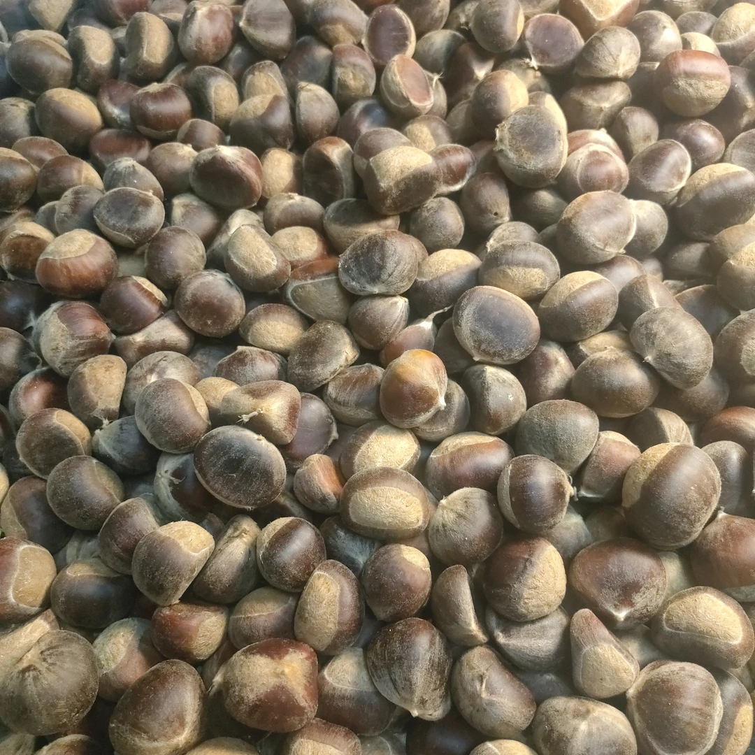 湖南新鲜小板栗当季现摘中粒味道更好产地直发
