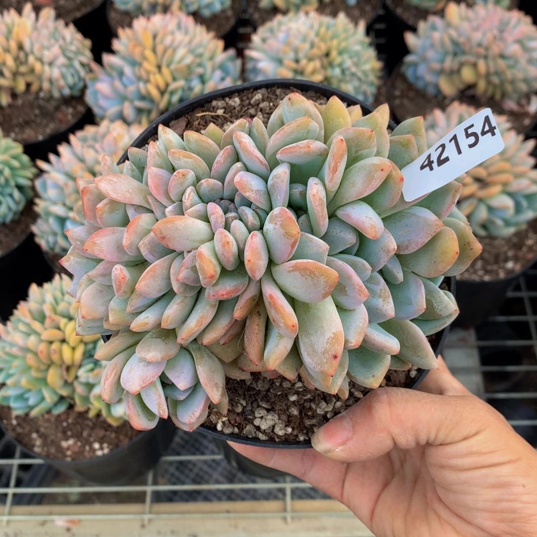 邱*42154嗯嗯嗯我真的觉得这个问题