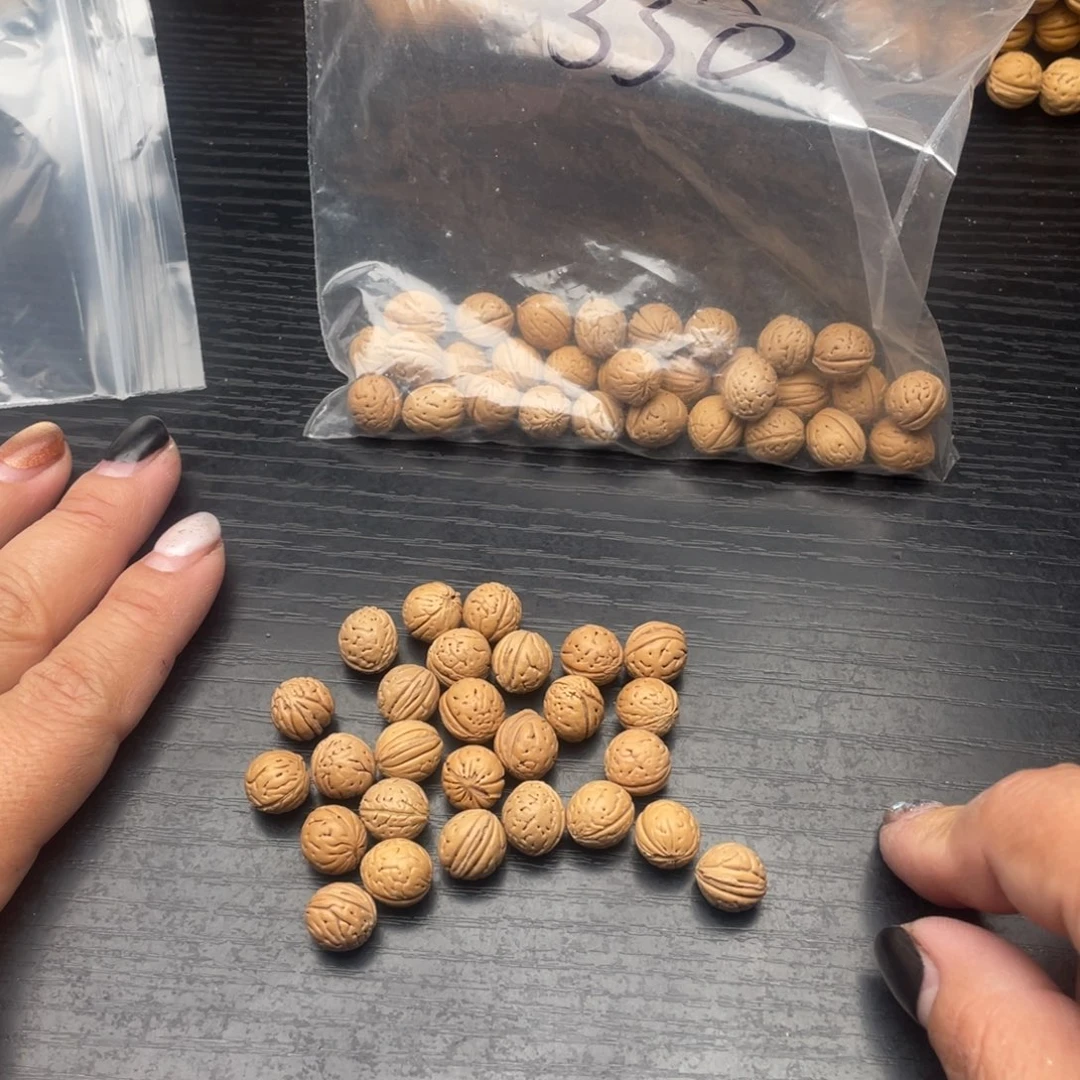 散发20元优惠活动