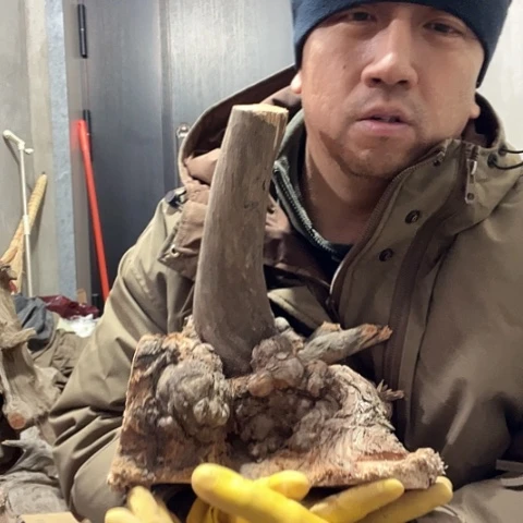 柏木小**艺崖柏毛料的