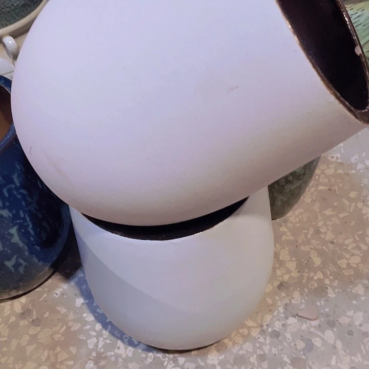 正品18/22两个处理