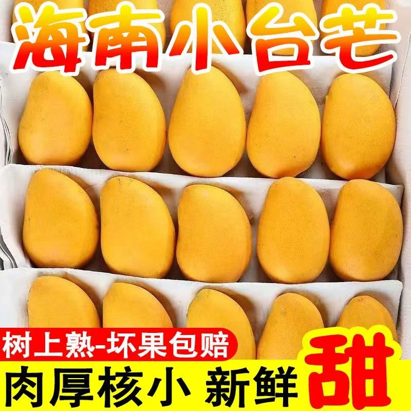 【低价】海南新鲜小台芒台农芒老果大果小芒果非贵妃金煌芒直播包邮