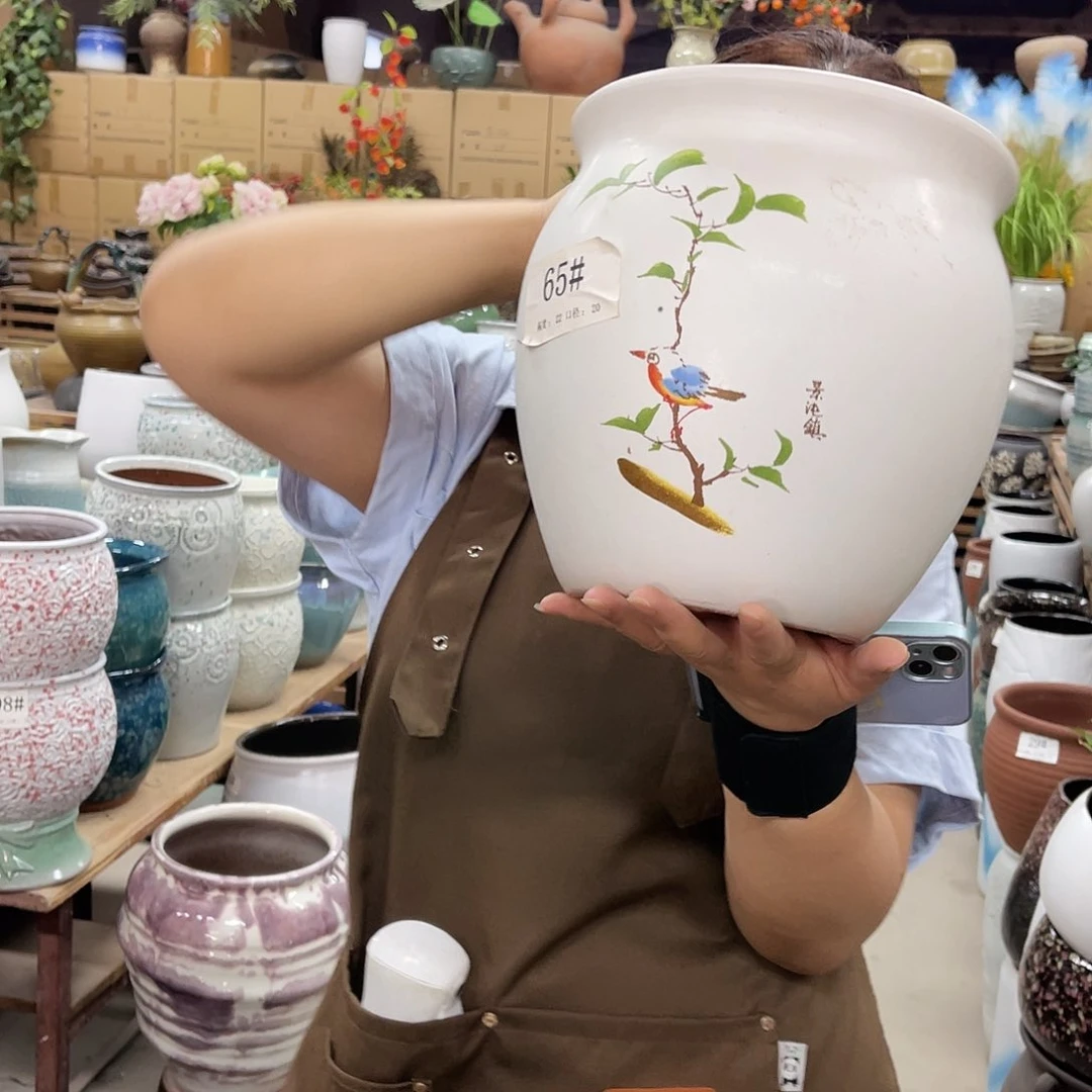 高度22口径20厘米