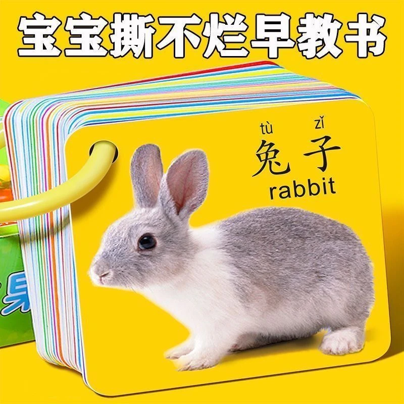儿童早教书撕不烂早教卡0-6岁宝宝益智早教认知卡儿童启蒙认知卡