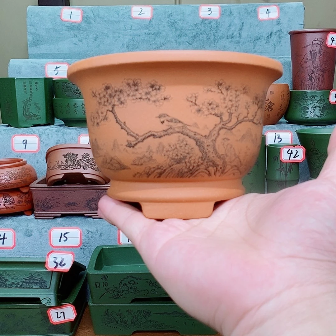 紫砂花盆我在看书