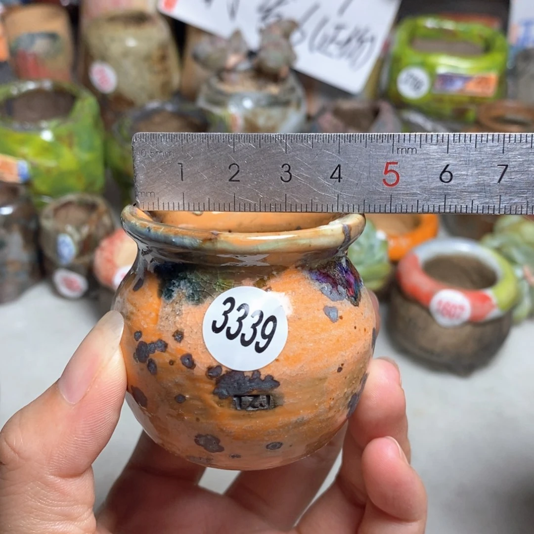 拍5送一个小礼物