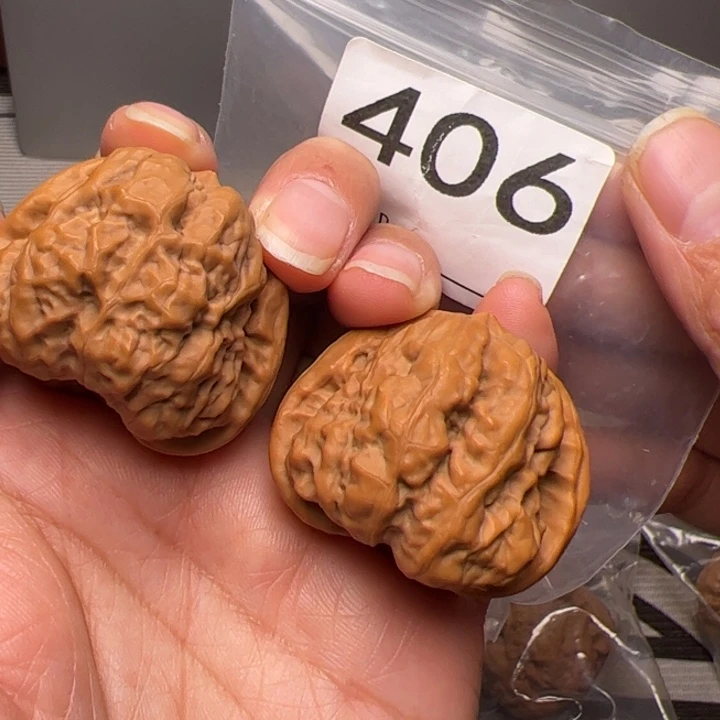 核桃39尺39肚406号全品