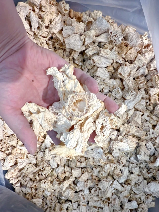 羊肚菌菌柄100g炒菜包饺子特别好吃