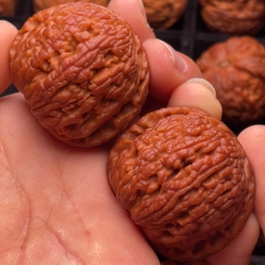 文玩核桃把件秦岭山脉核桃