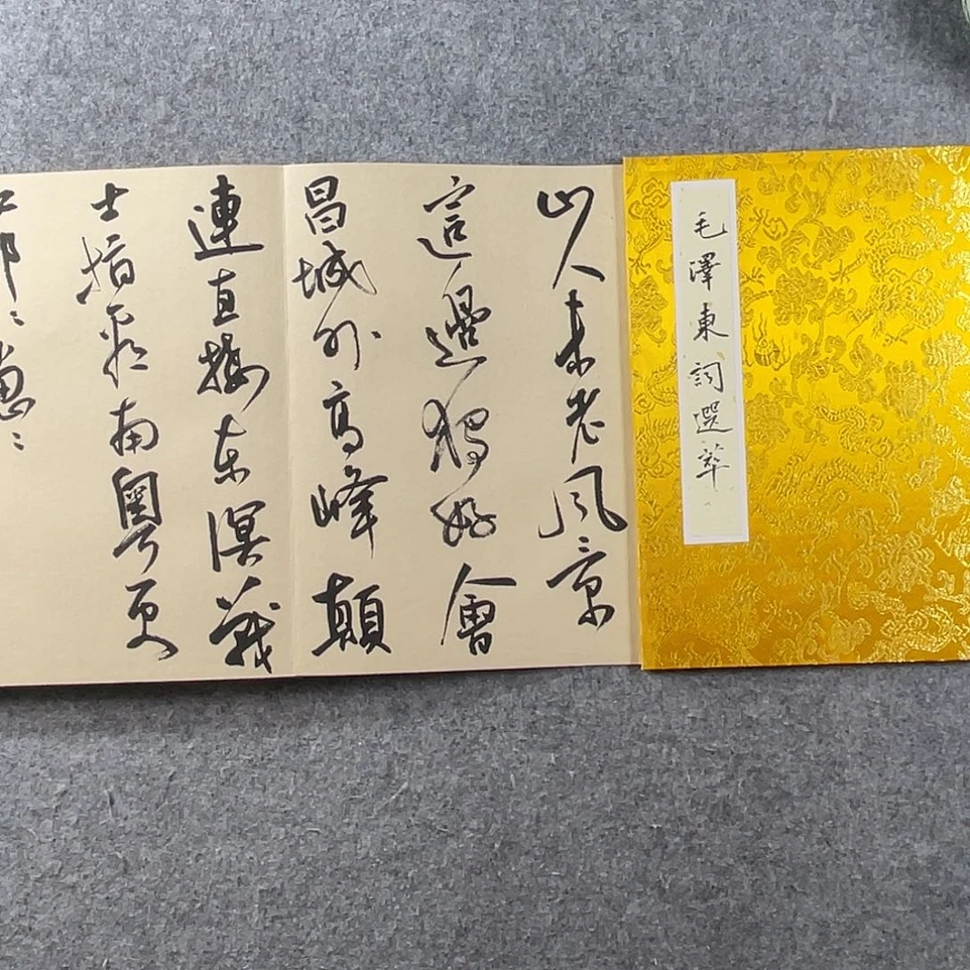 书法中书协会员作品