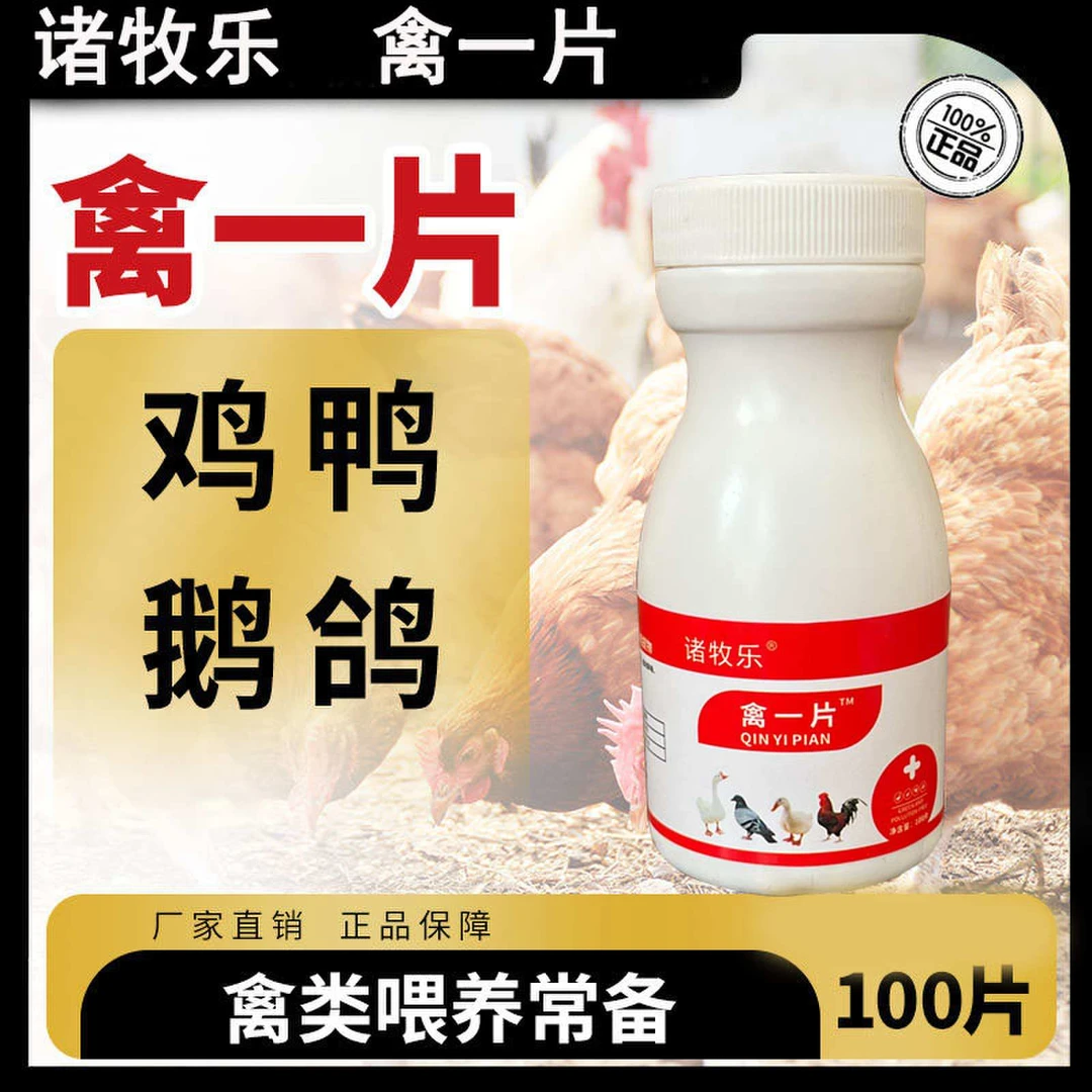诸牧乐正品禽一片厂家直销禽类鸡鸭鹅通用使用产品鸡鸭鹅通用药