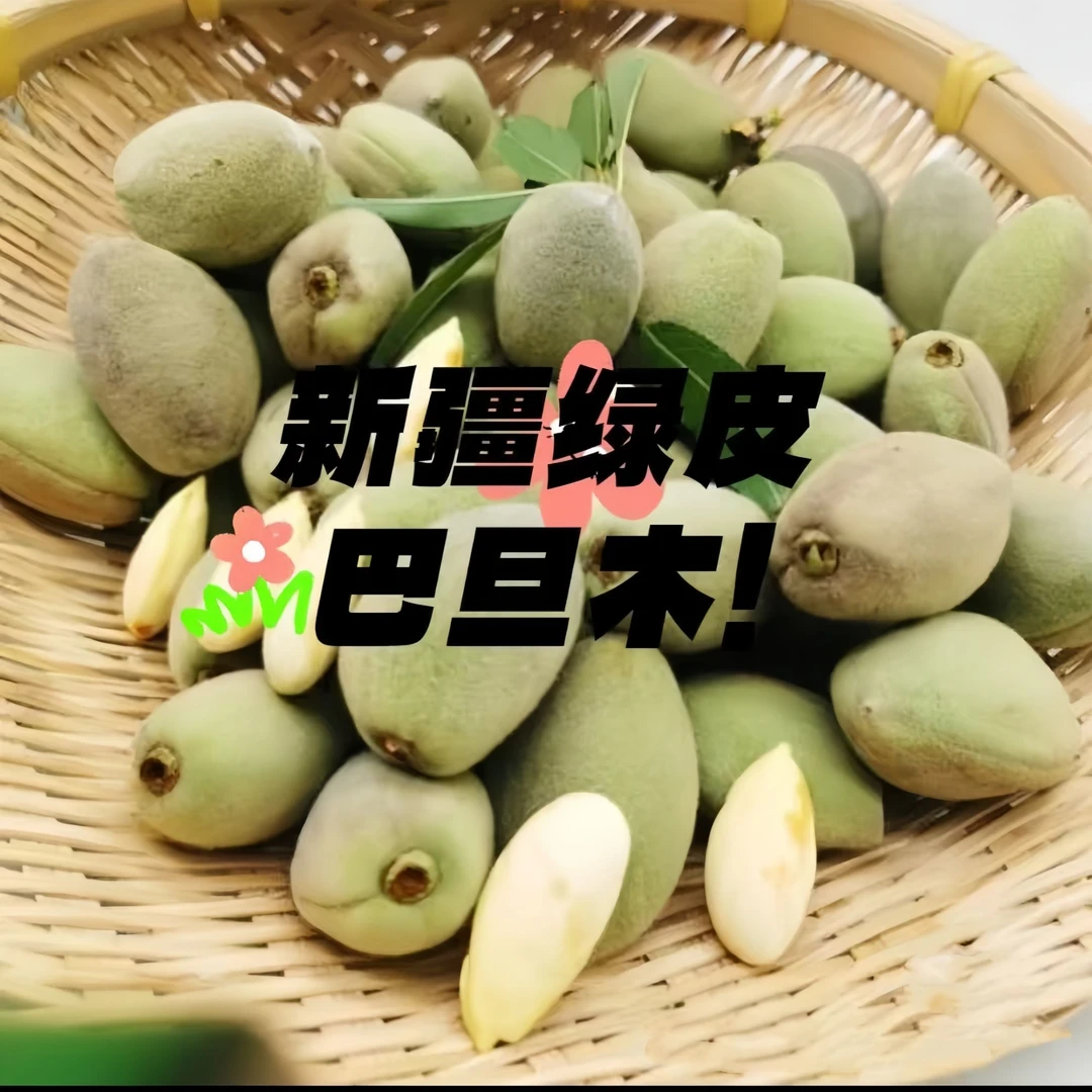 新疆新鲜青皮霸丹木带壳果仁可生吃产地直发新鲜直达