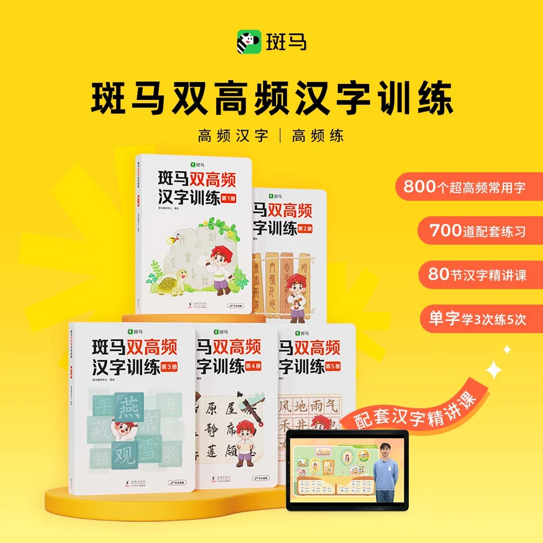 斑马双高频汉字训练识字训练幼小衔接小学识字阅读必备