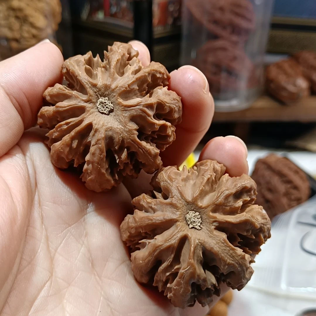 把件文玩核桃饭***所66666666666666