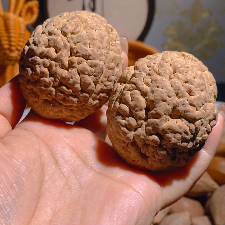 野生三瓣脑纹大金刚5260