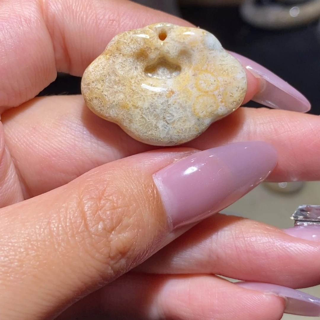 【闪购商品】硅化玉珊瑚玉未镶嵌