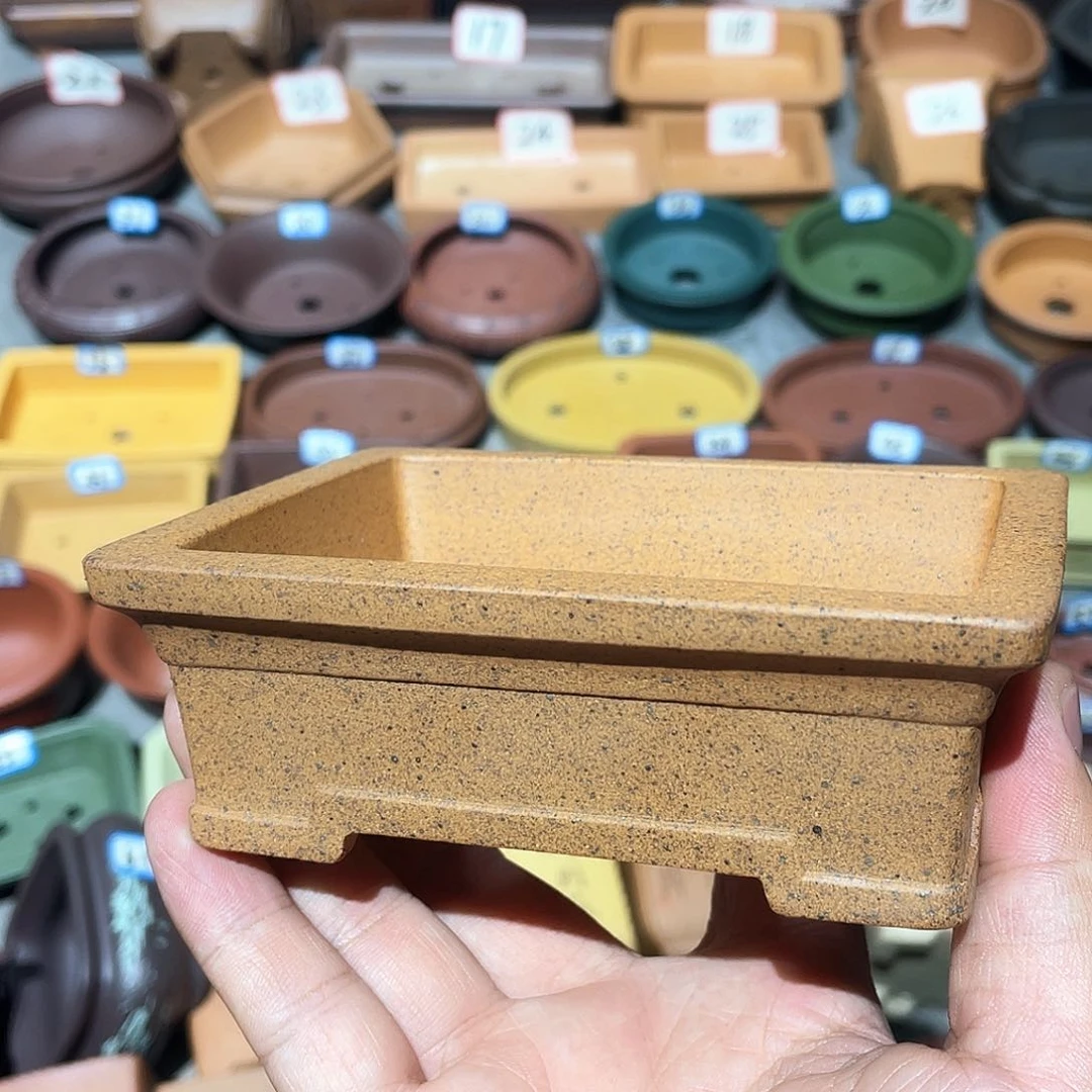 紫砂小盆10.5*8*3