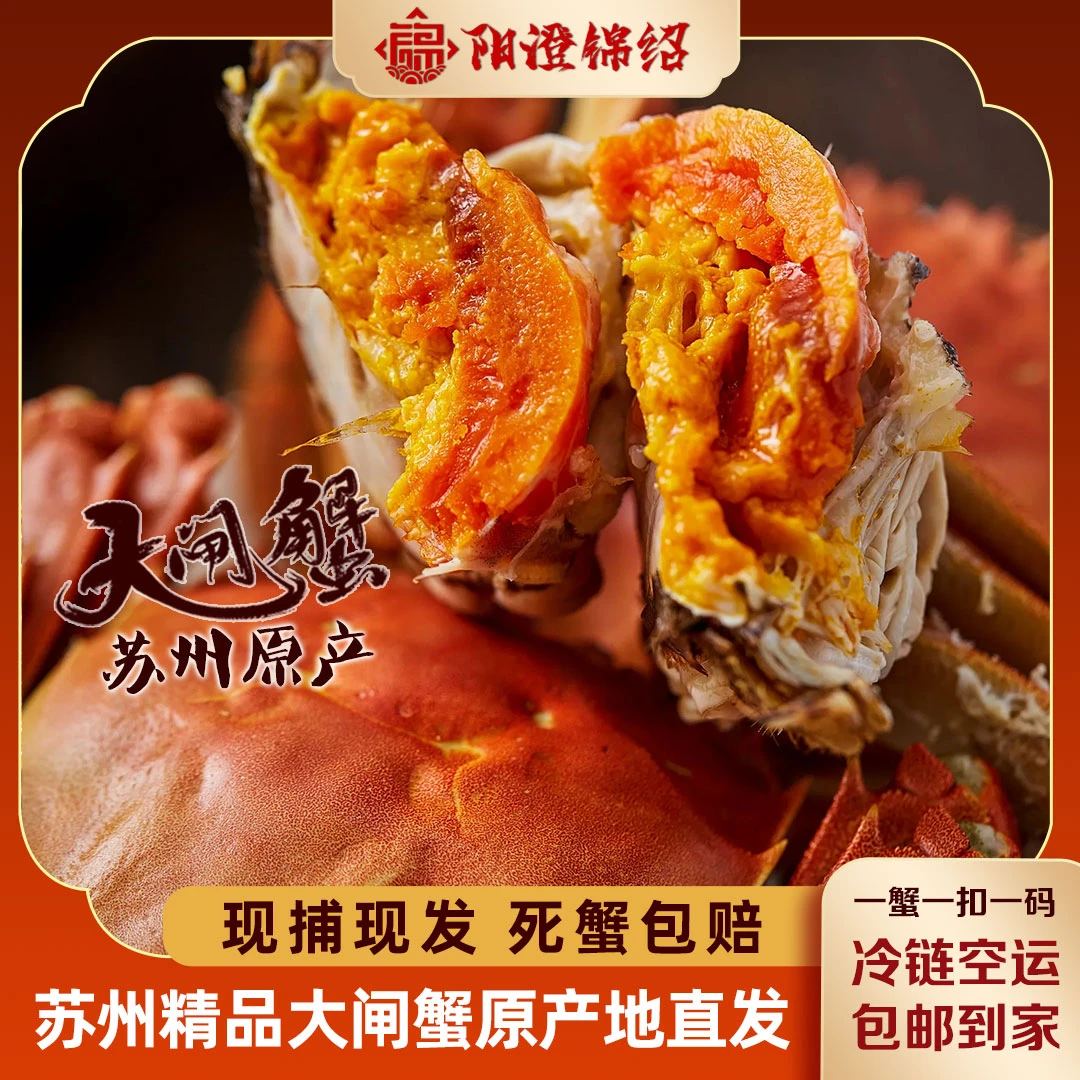 【活蟹】阳澄锦绍苏州知名品牌大闸蟹母3.5两8只+2只盒装苏州金标蟹