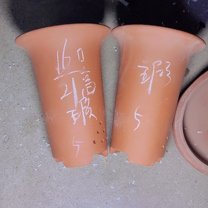 周深周深周深周深