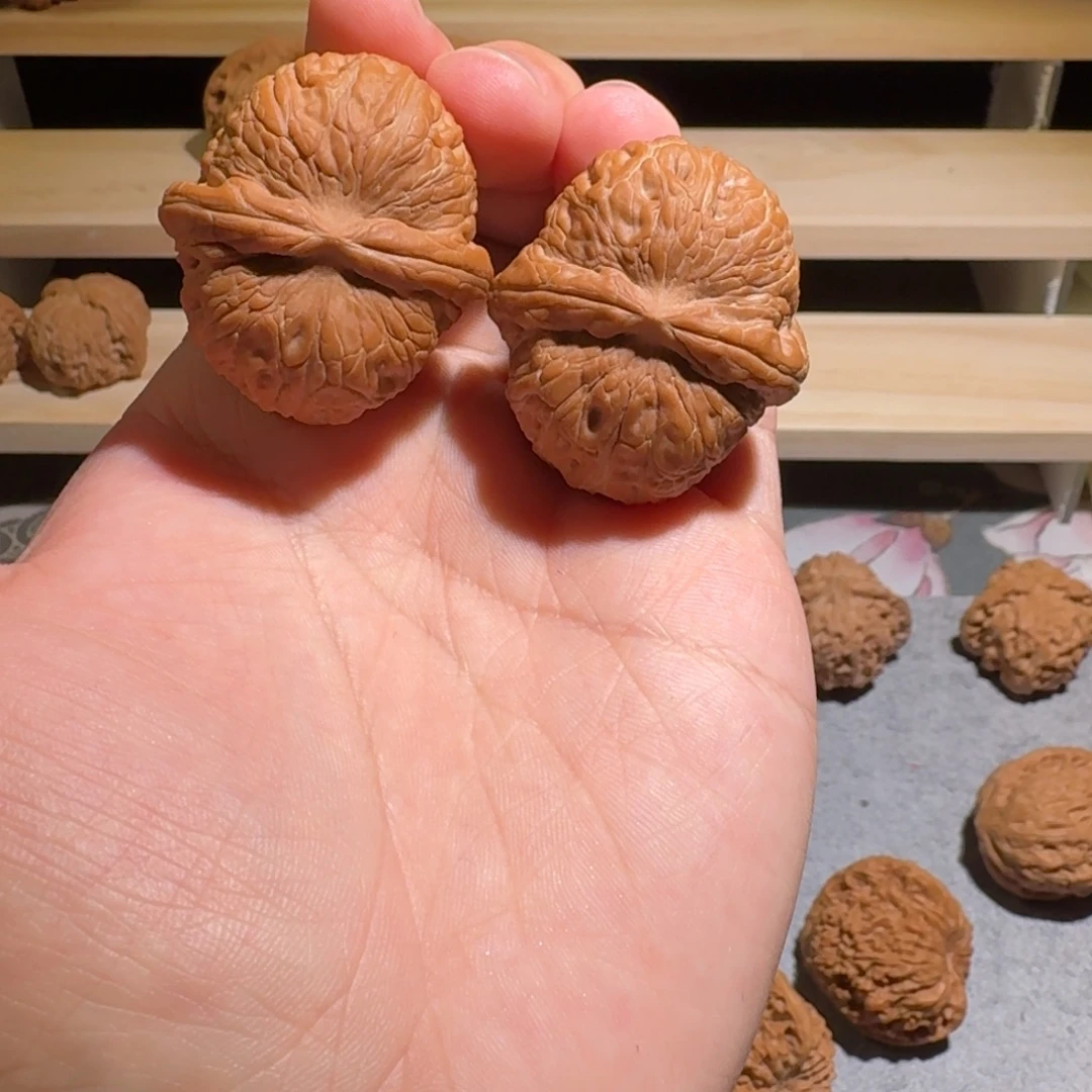 ****猴大叶紫檀（黑酸枝木类）