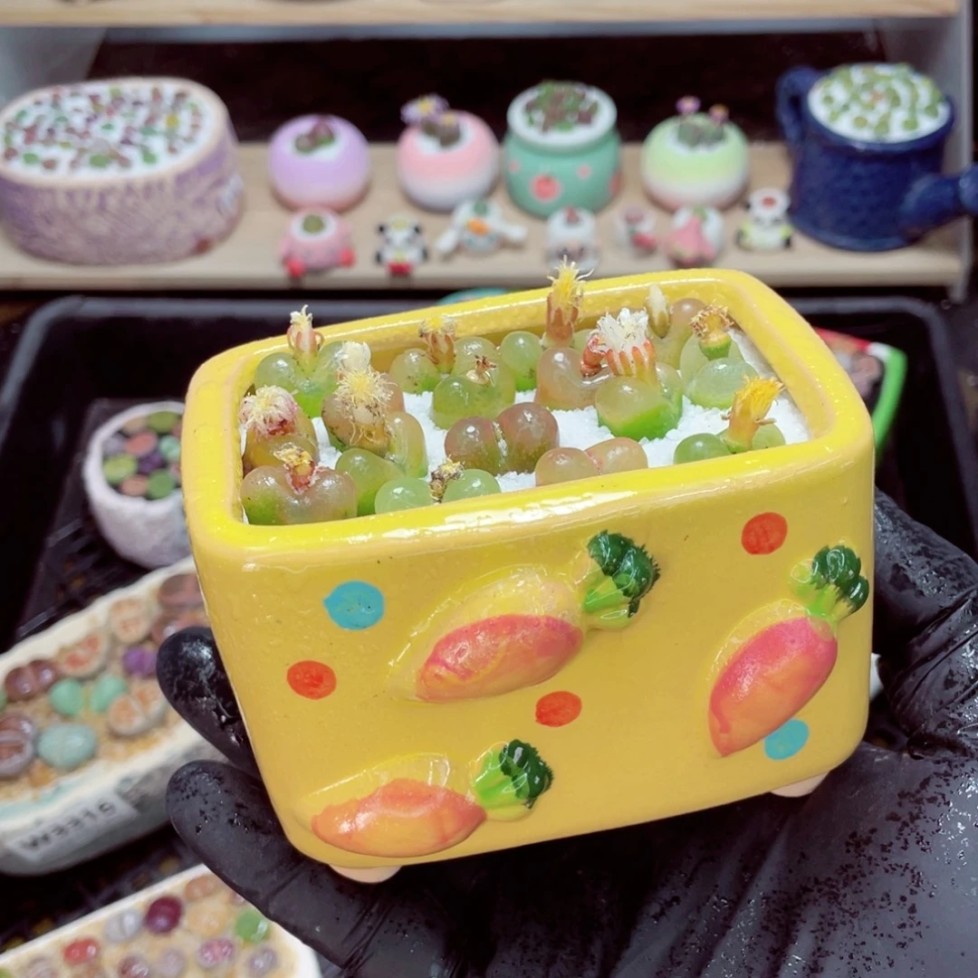 夜间零下地区拍保温箱w3319