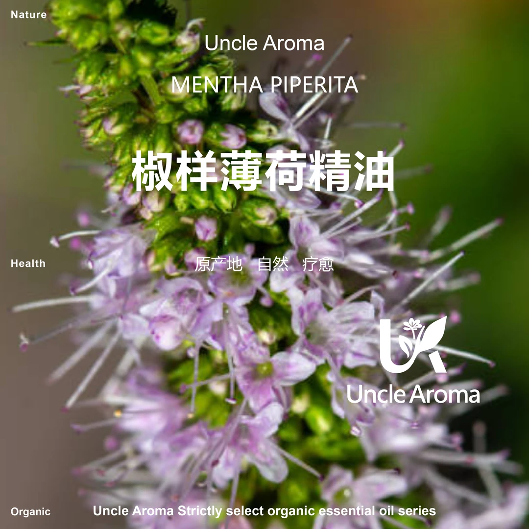 辣薄荷精油 10ml（单方）