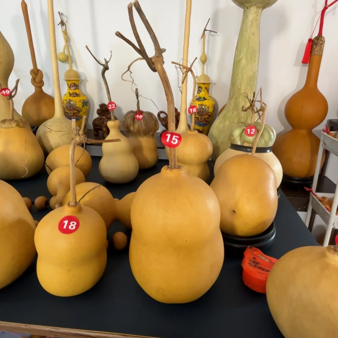 Z***-葫芦葫芦葫芦葫芦