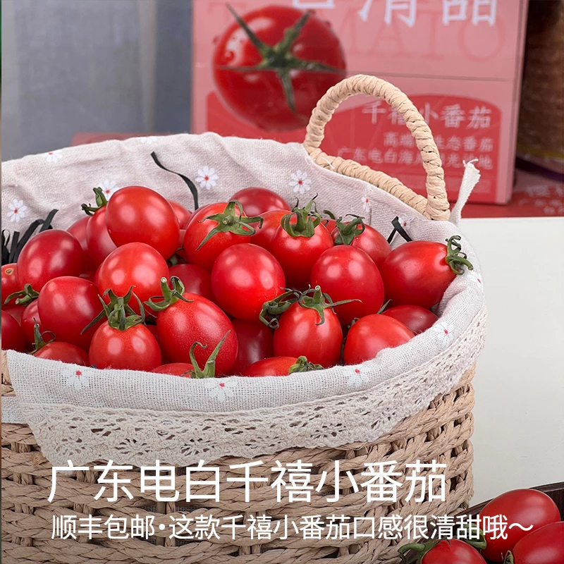 【顺丰包邮】广东电白千禧小番茄圣女果3斤正宗千禧小番茄清甜