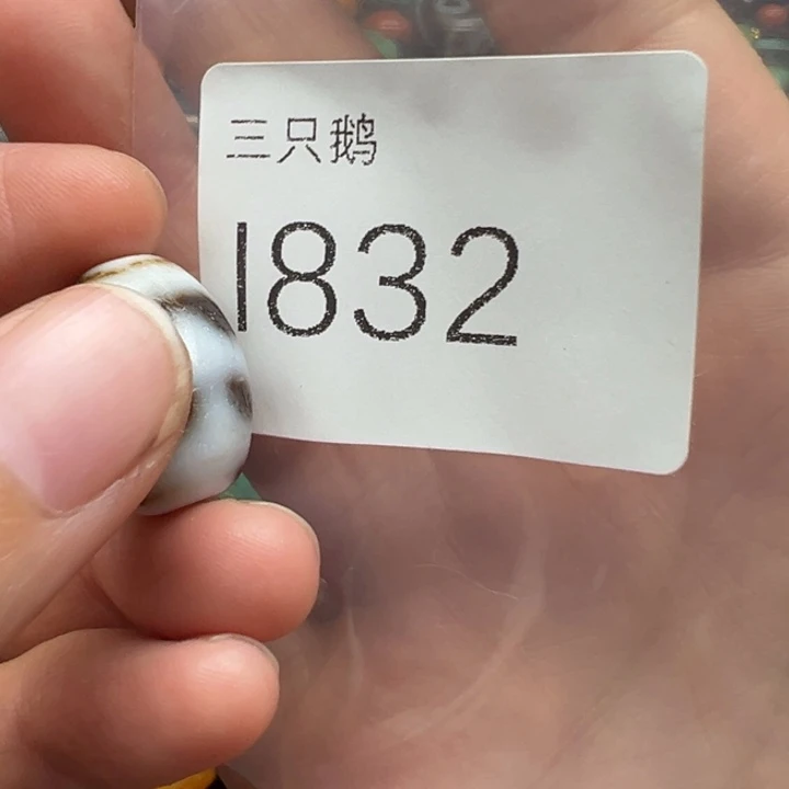 吊坠菩提根/象牙果