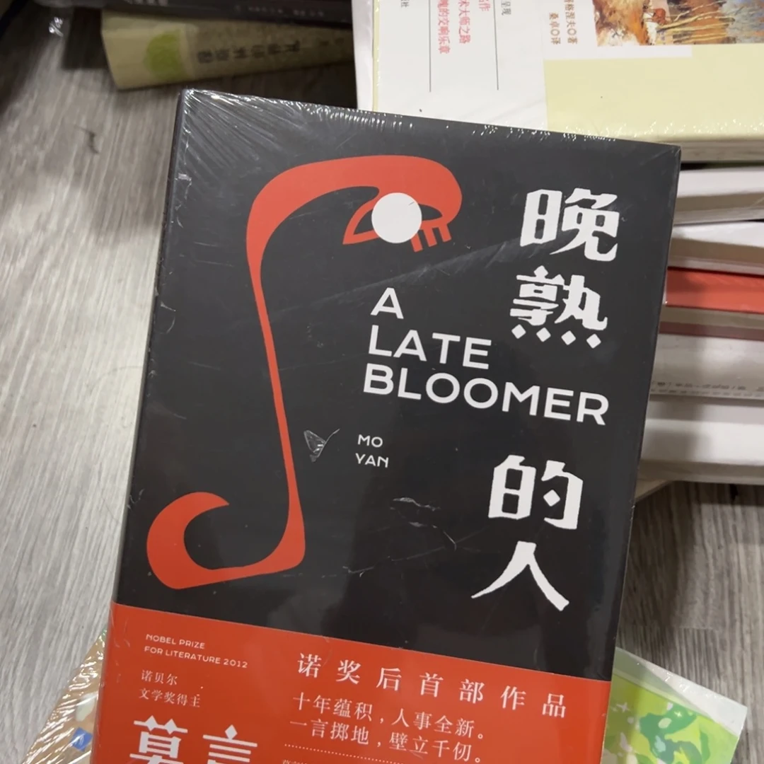 晚熟的人十三米一个