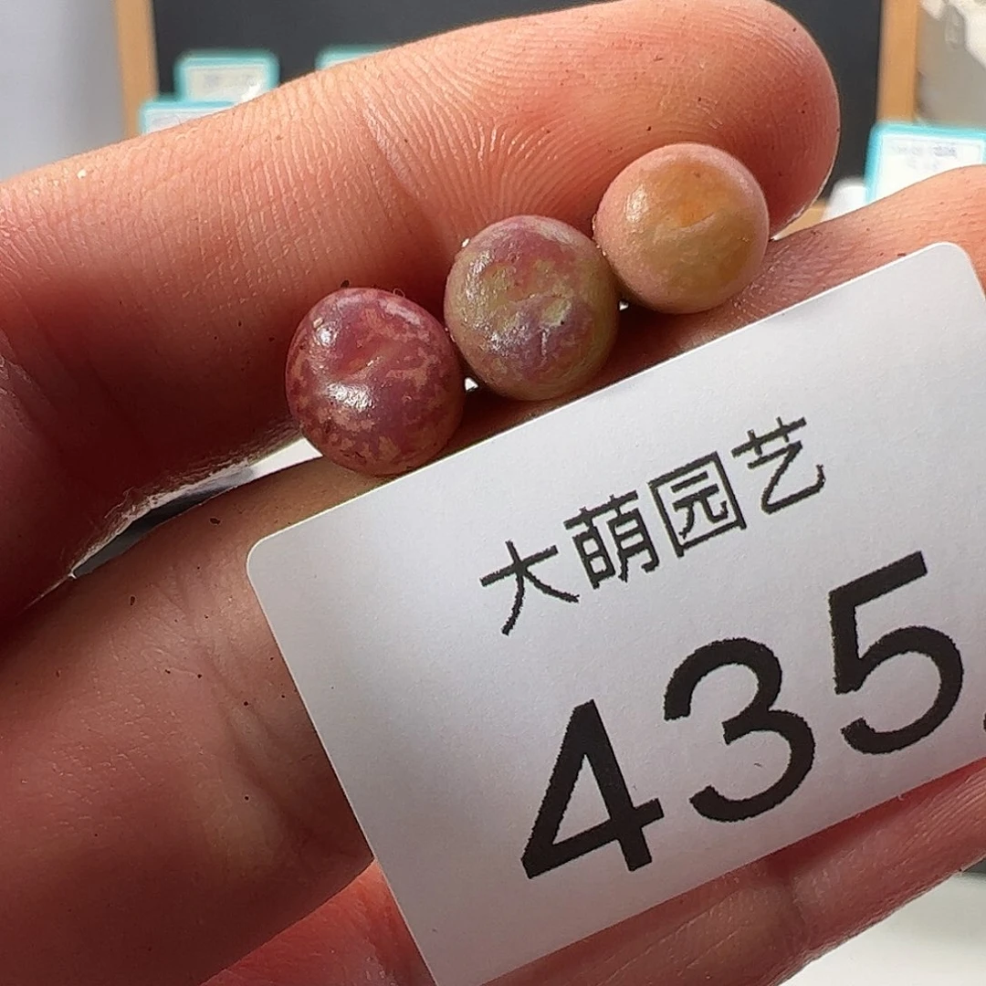 0000435 一物一拍……