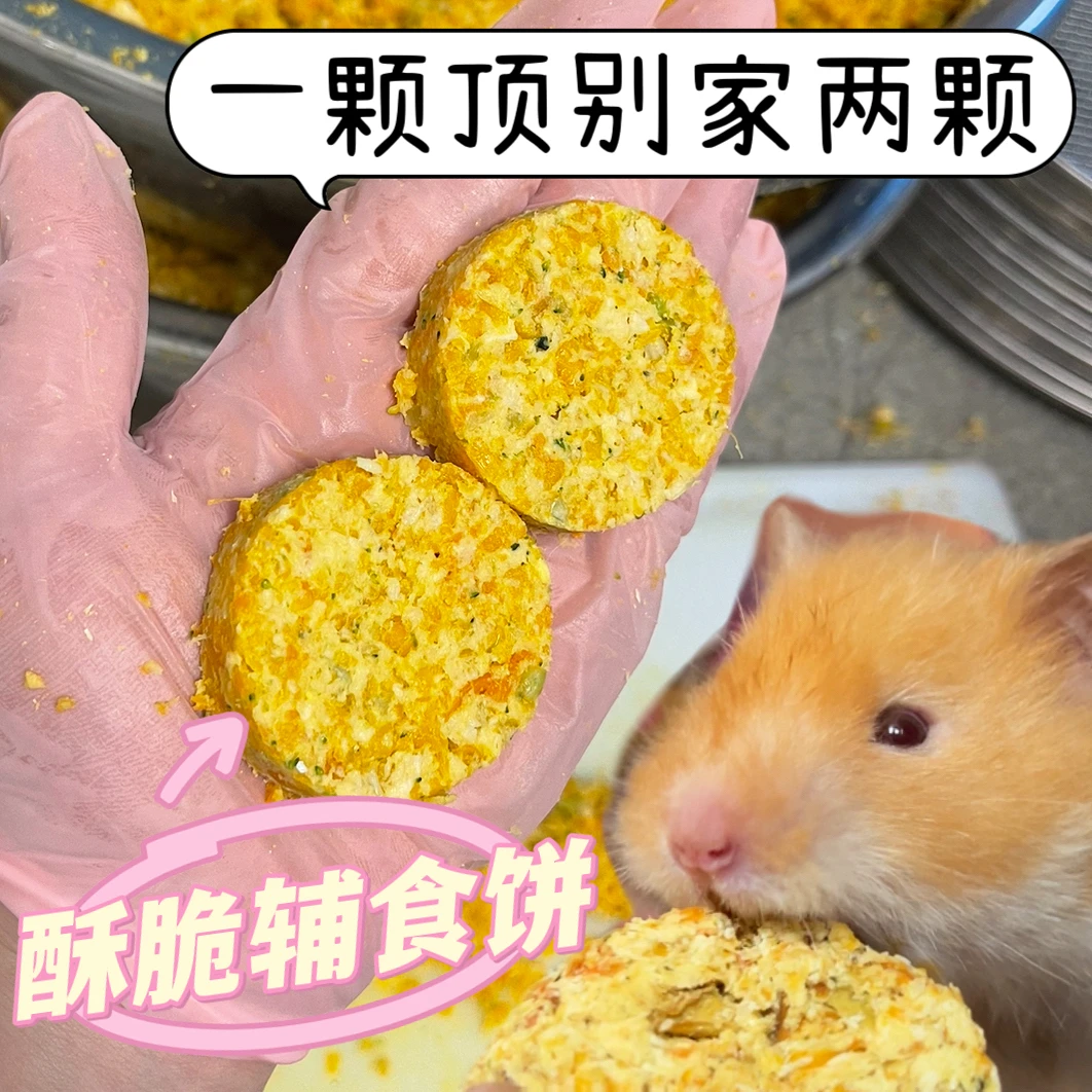 仓鼠辅食饼金丝熊长肉躺手增肥神器水泡软复原新鲜辅食侏儒鼠花枝