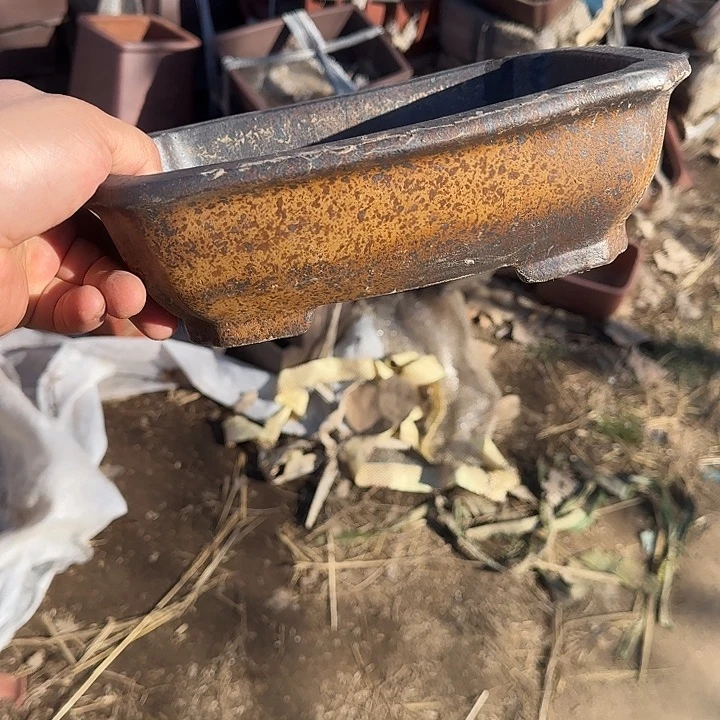 没有你怎么样你说什么你能给人家多少你