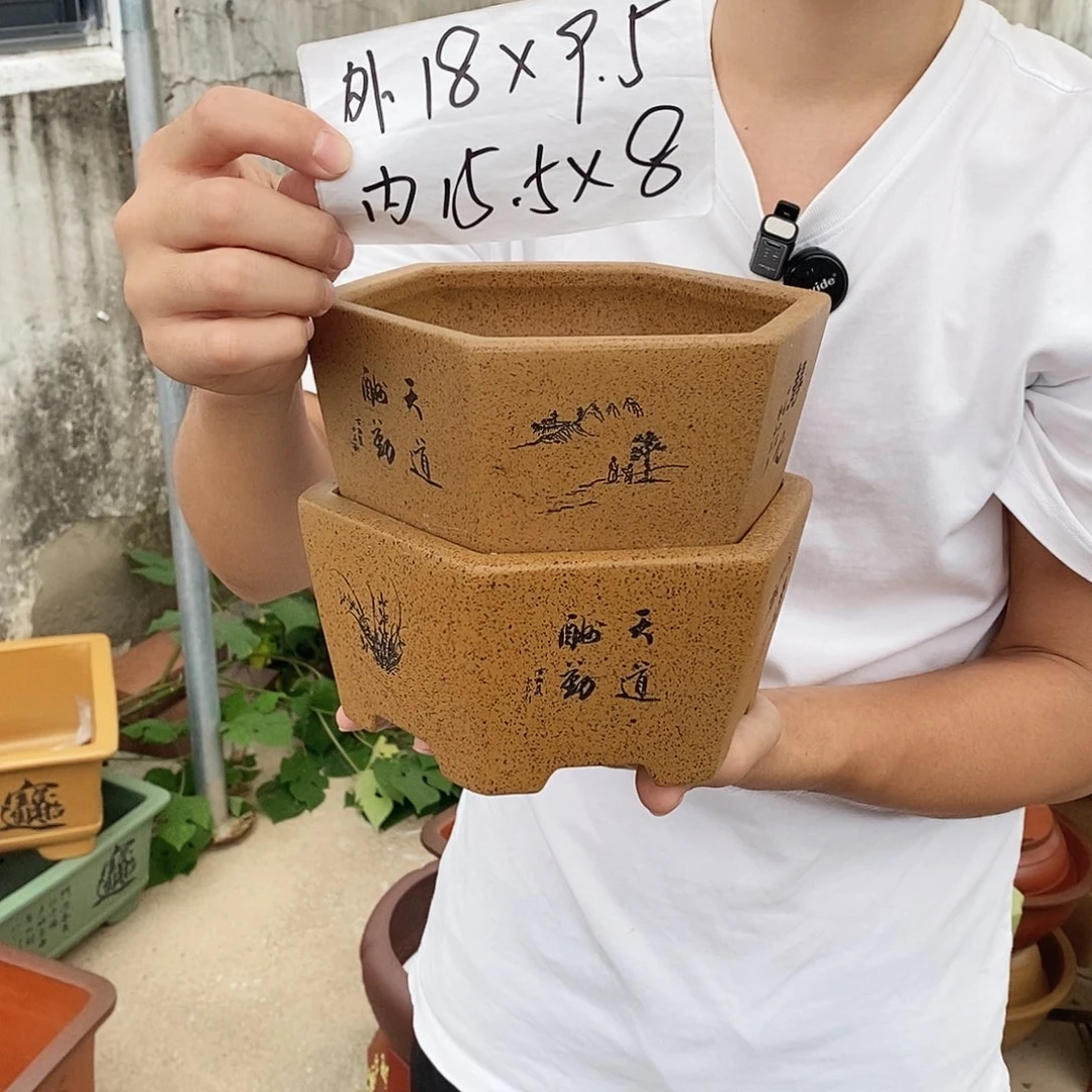 紫砂花盆紫砂花盆
