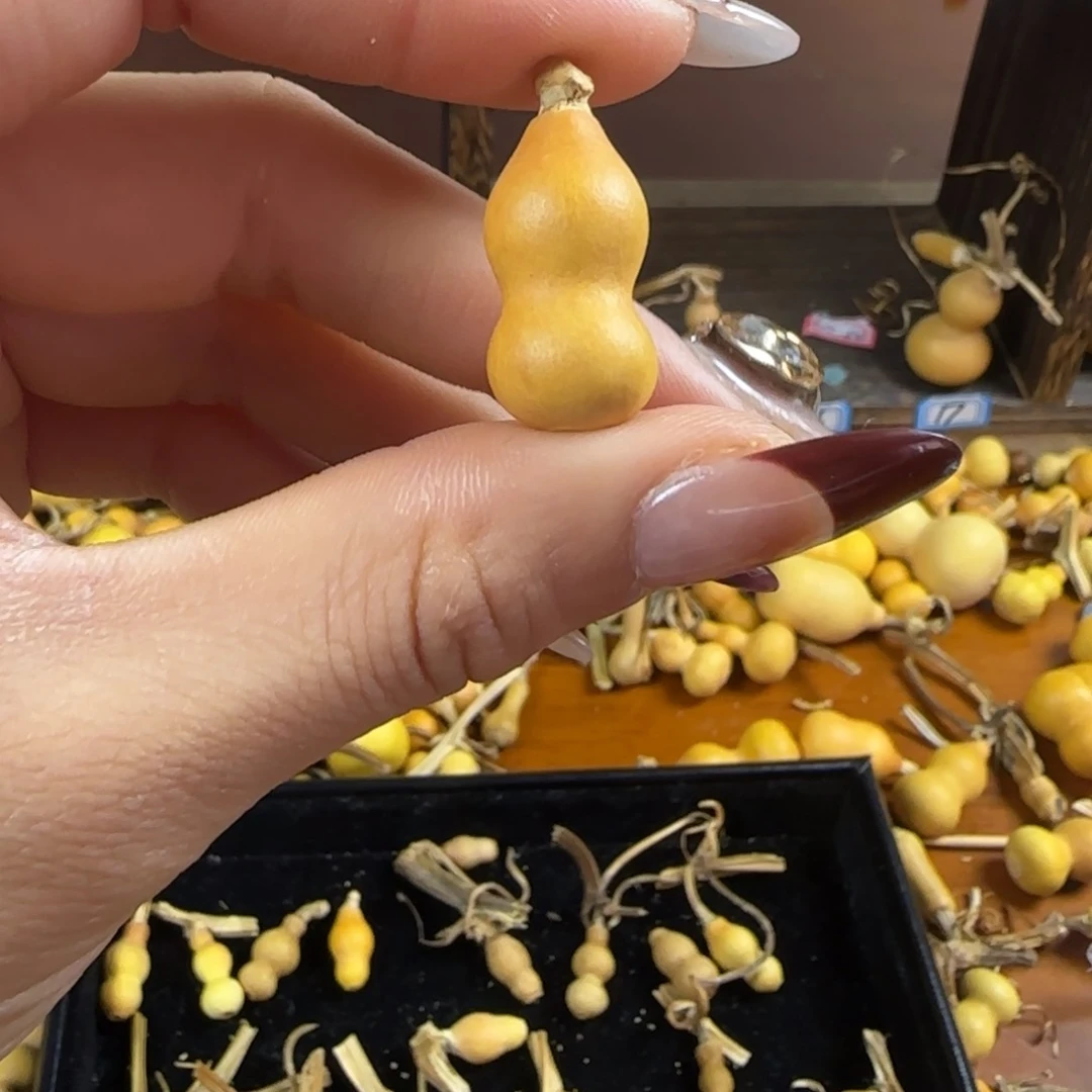 天然草里金小葫芦