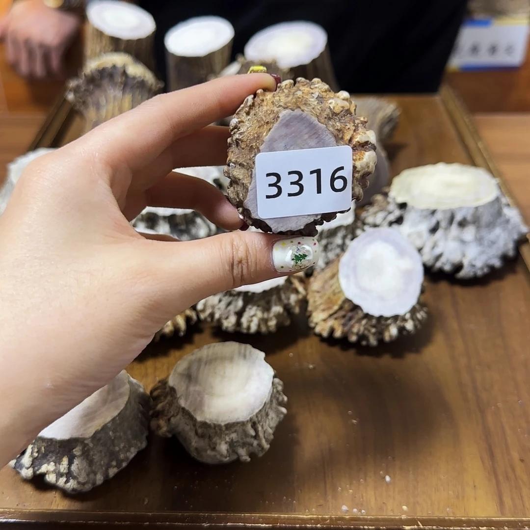 鹿骨手串/手链角帽3316