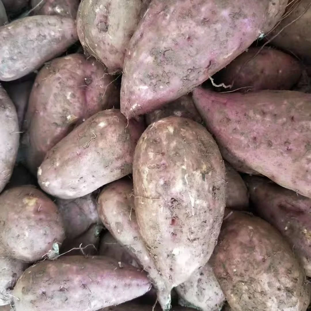 湖南农家红薯（蒸煮炒都可以吃）